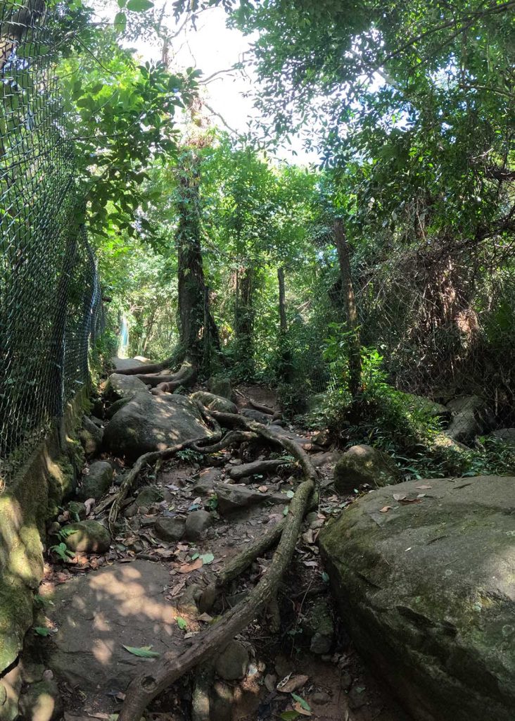 trilha praia Pacuíba Ilhabela
