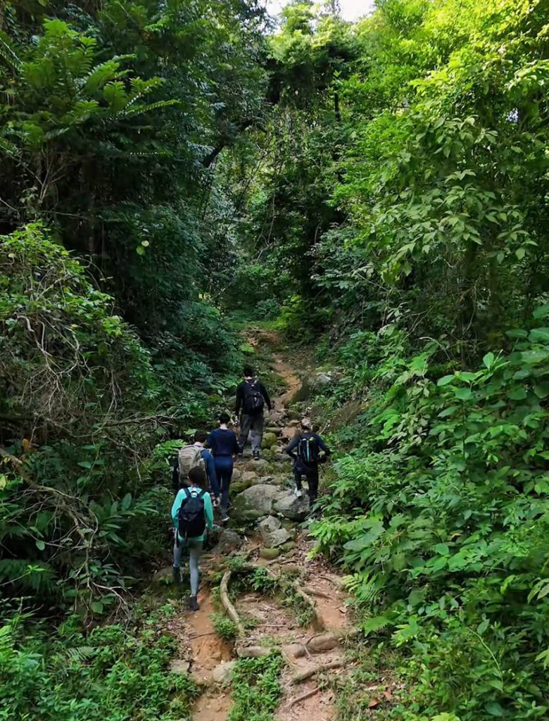 trilha Bonete Ilhabela